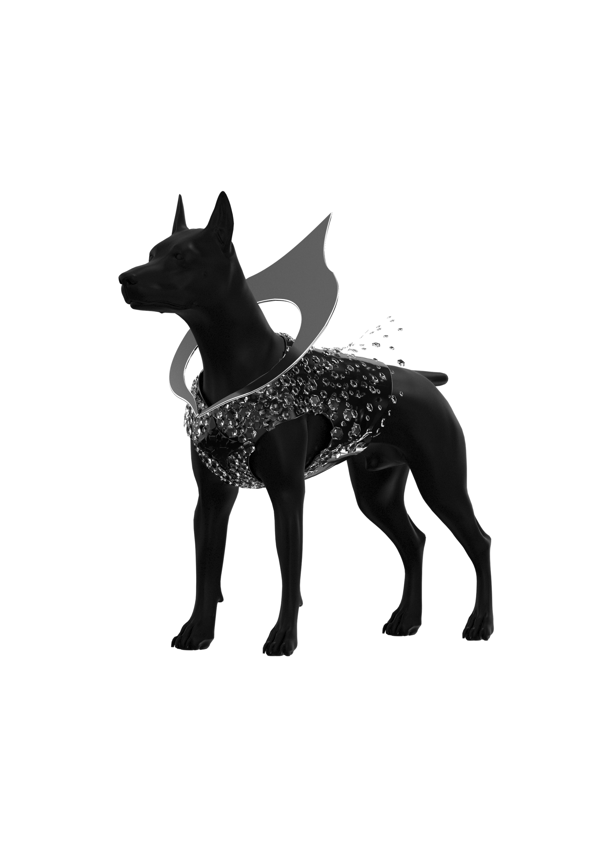 The Selene Pet