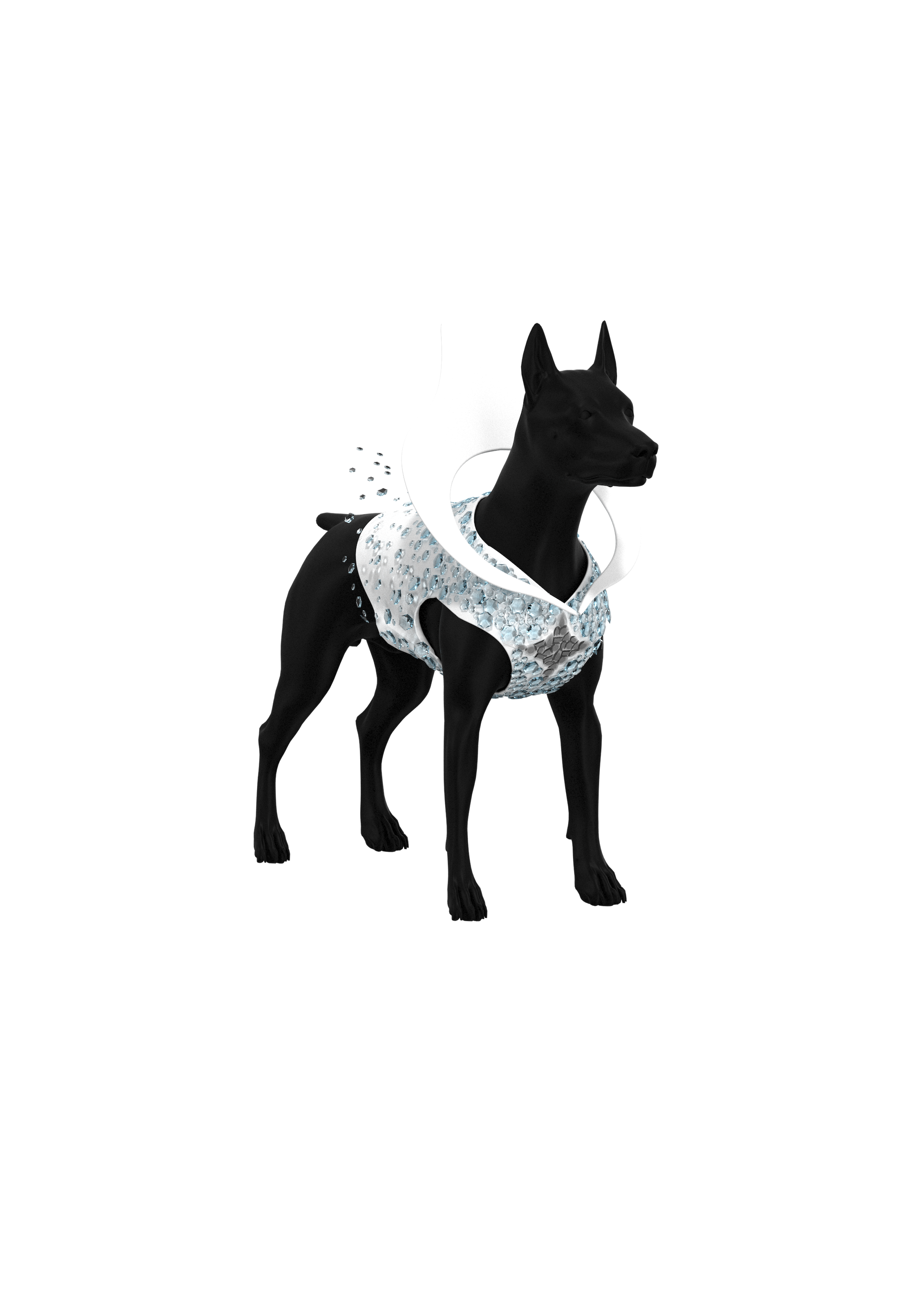 The Selene Pet