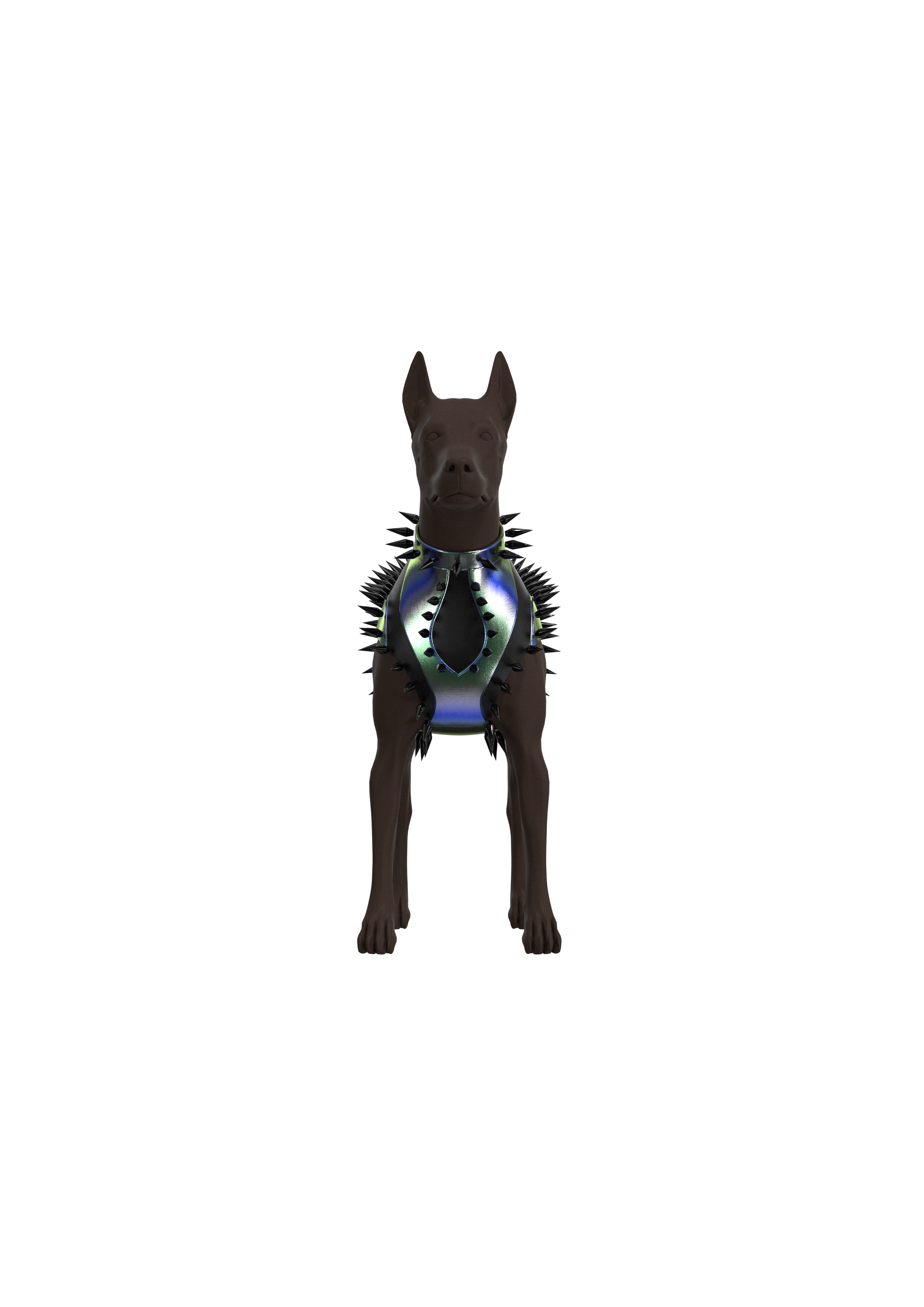 Studs Disco (Pet)