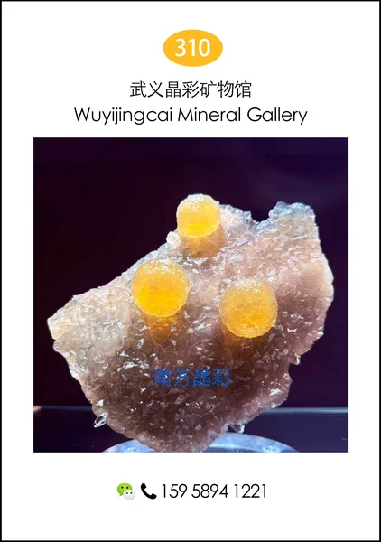 011guangzhouyuebankuangyeduoduokuangjingyouxuan