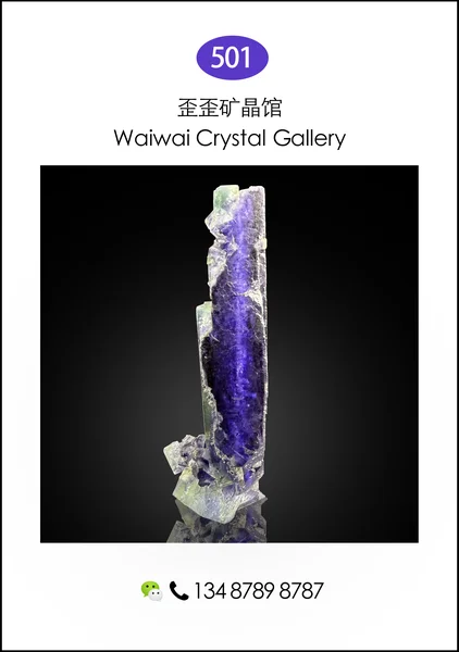 216yingfenggekuangwu