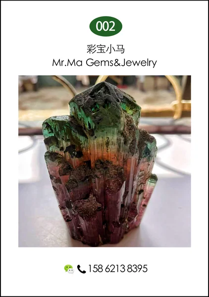 601donghaizhuxiaojuankuangwu