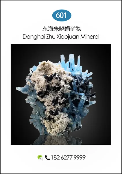 208guxianshengkuangwu