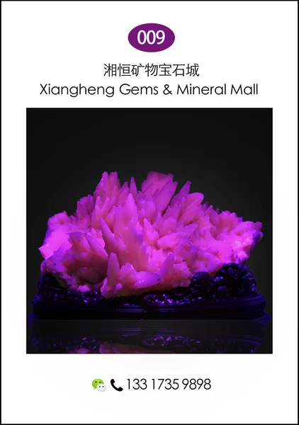 307yushijukuangjingguan