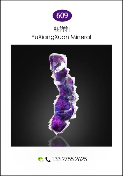 009xianghengkuangwubaoshicheng