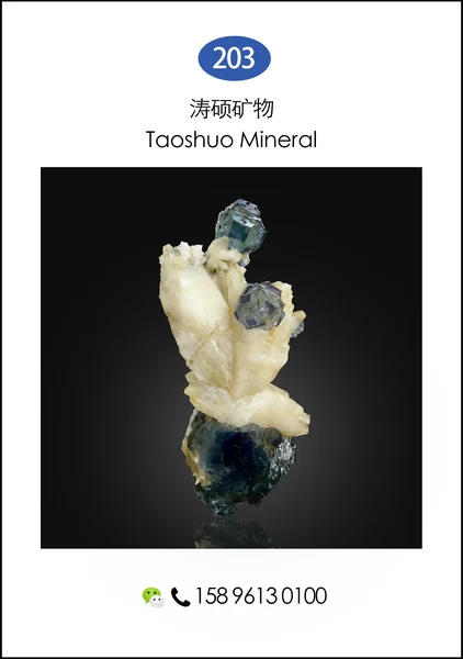 305xiaoshidaikuangjing