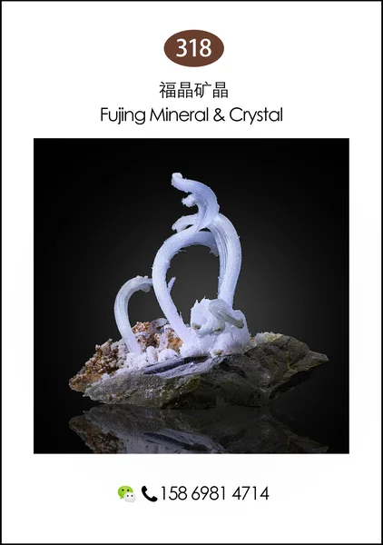 215ezhedekuangwushijie