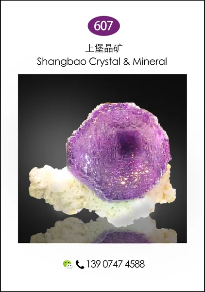 206jingyuankuangjing