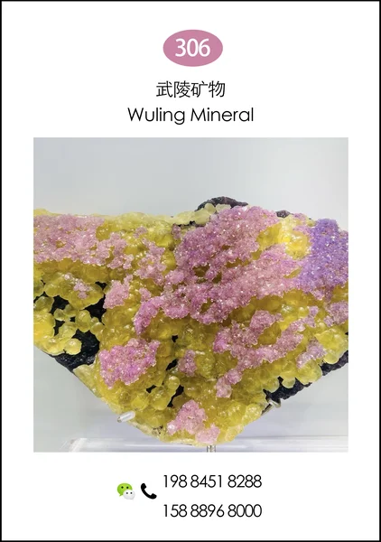 607shangbaojingkuang