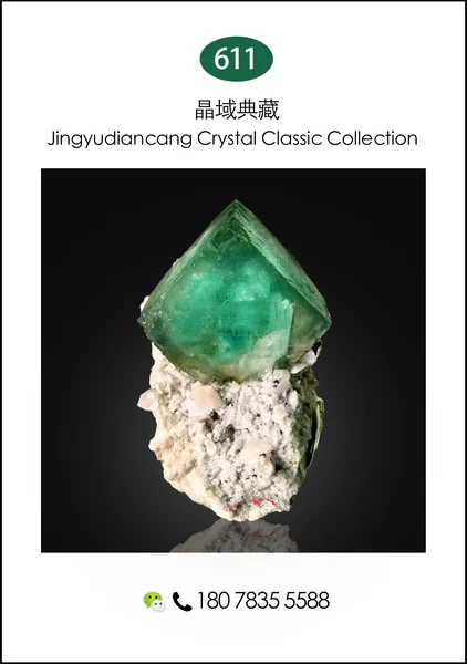 319xixichengkuangjing