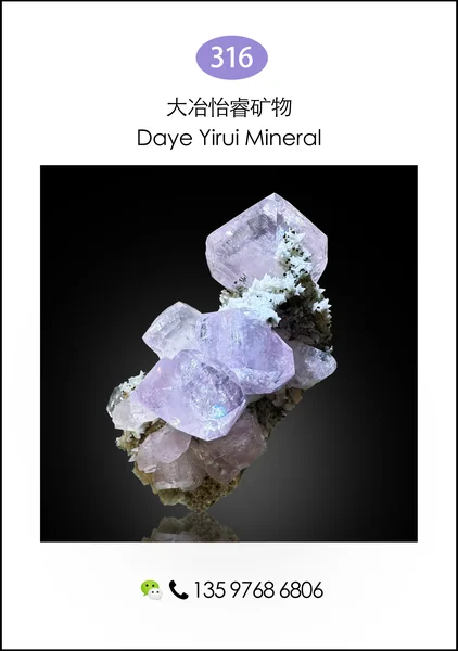 006zhengjianrongkuangwu