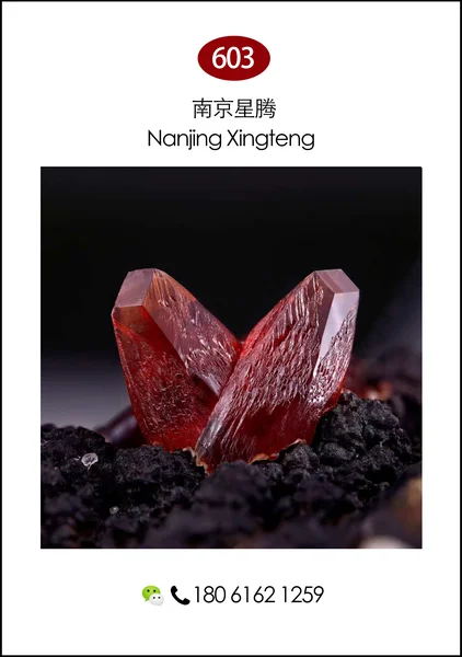 220kuangyejingshiguan