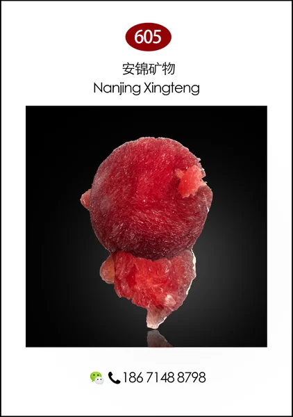 209mengliyujiankuangjing