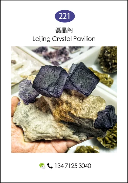 508pinyuanxuankuangjingguan