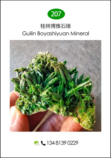 201shenzhenkaiensikaiwenkuangwu