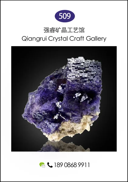 311guilinjingezikuangwu