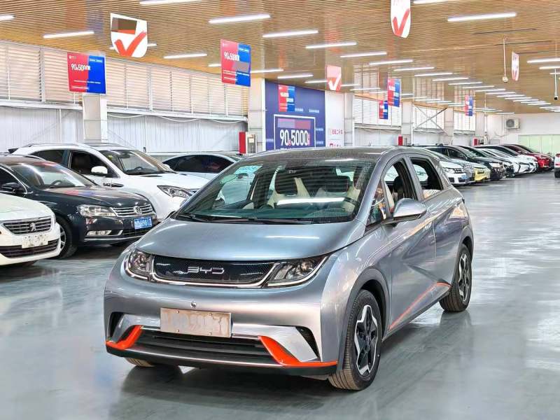 BYD 2021 Dolphin 405KM Fashion Edition