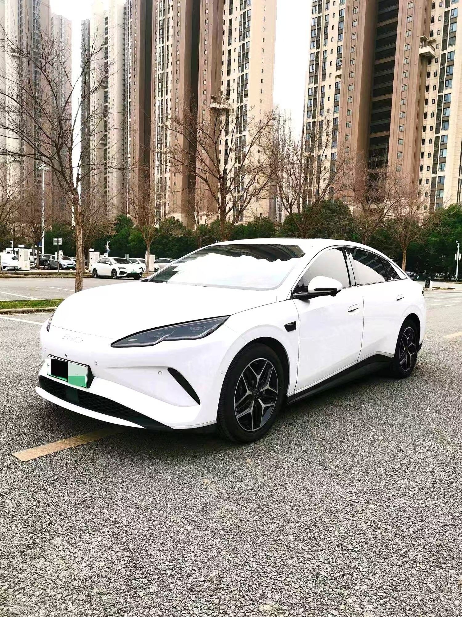 Yichun Xingyue Paipai Car Trading Co., Ltd