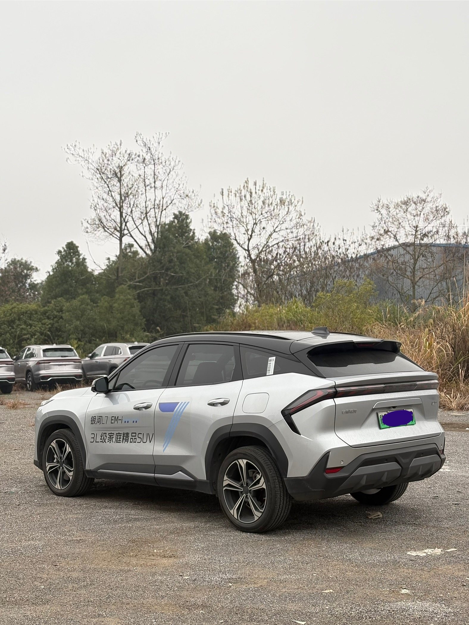 Chengdu Lushengda Automobile Service Co., Ltd.