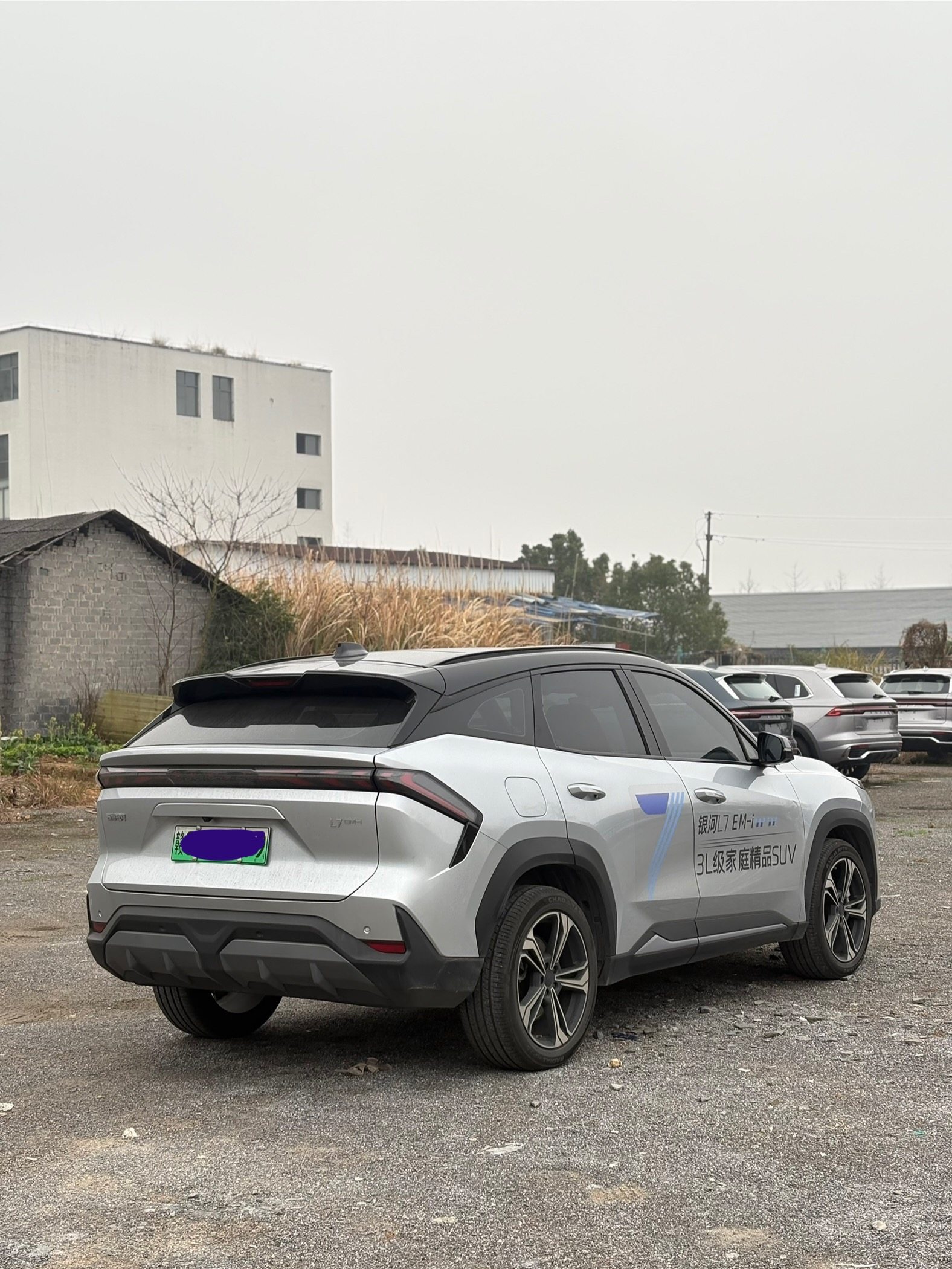 Chengdu Lushengda Automobile Service Co., Ltd.