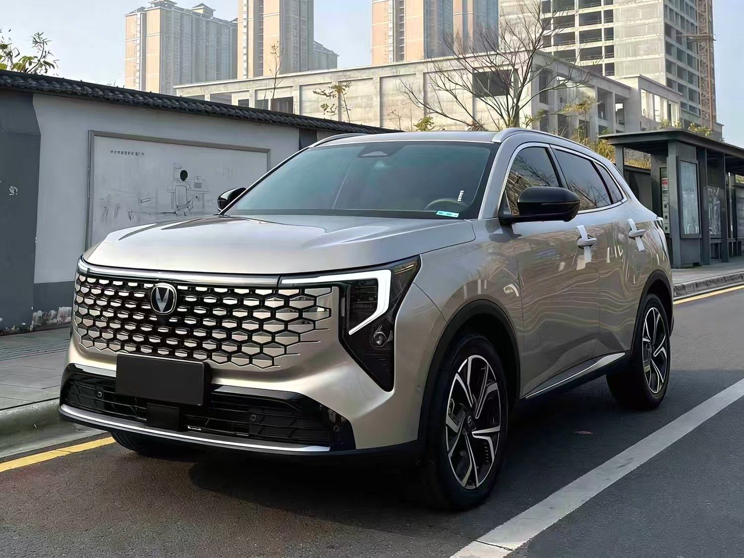 Chengdu Lushengda Automobile Service Co., Ltd.