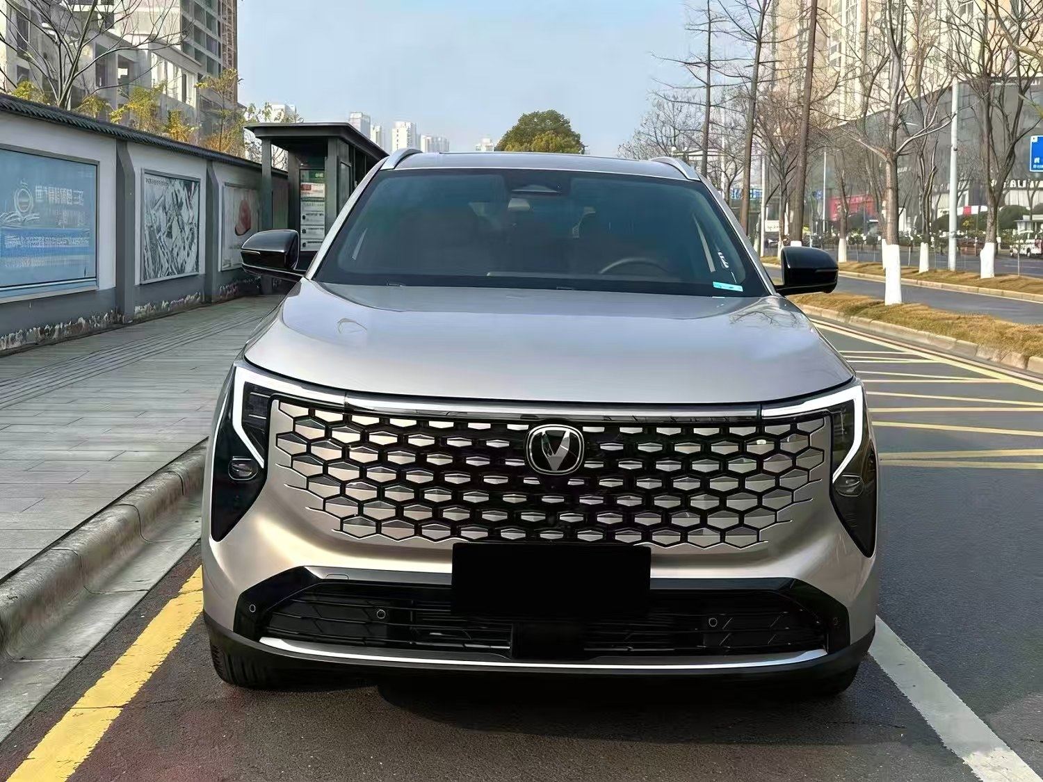 Chengdu Lushengda Automobile Service Co., Ltd.