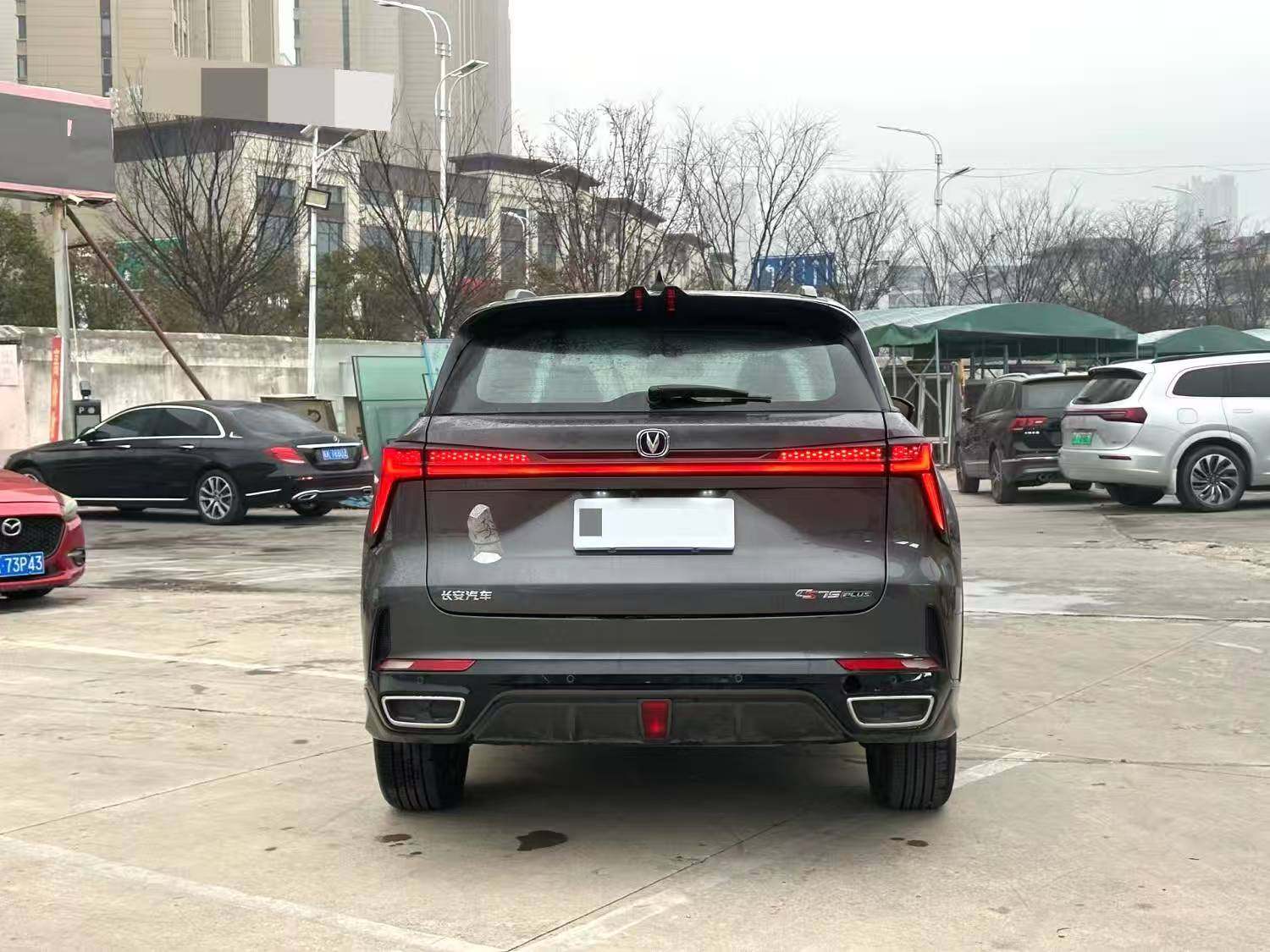 Chengdu Lushengda Automobile Service Co., Ltd.