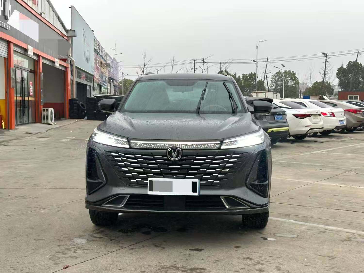 Chengdu Lushengda Automobile Service Co., Ltd.