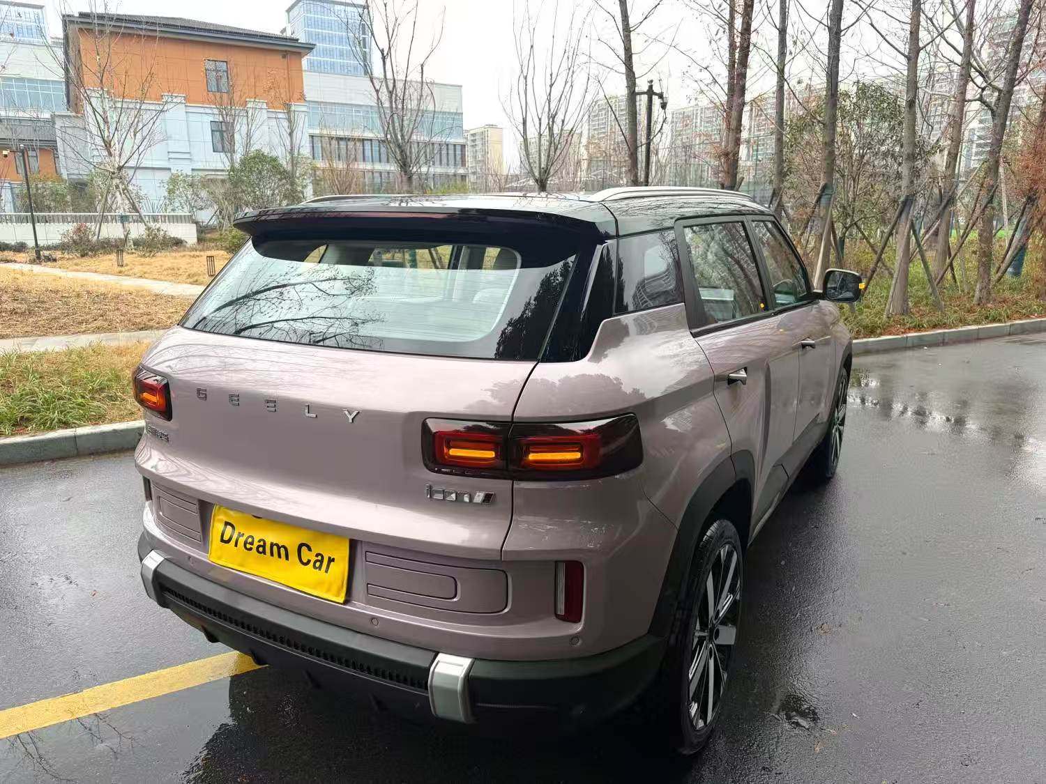 Chengdu Lushengda Automobile Service Co., Ltd.