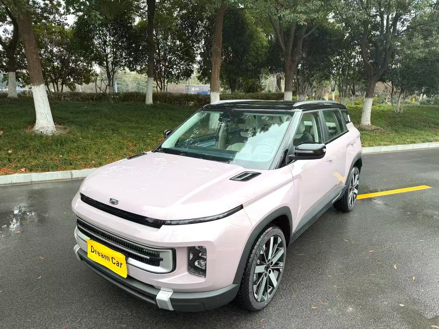 Chengdu Lushengda Automobile Service Co., Ltd.