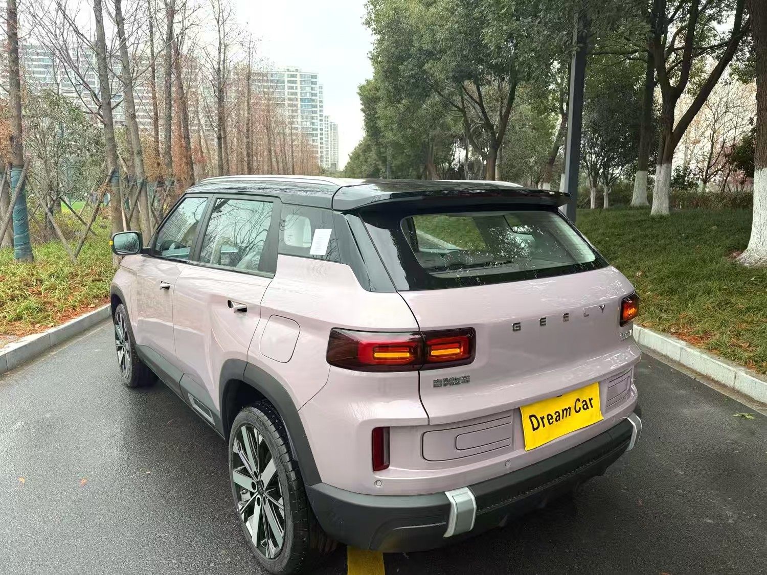 Chengdu Lushengda Automobile Service Co., Ltd.