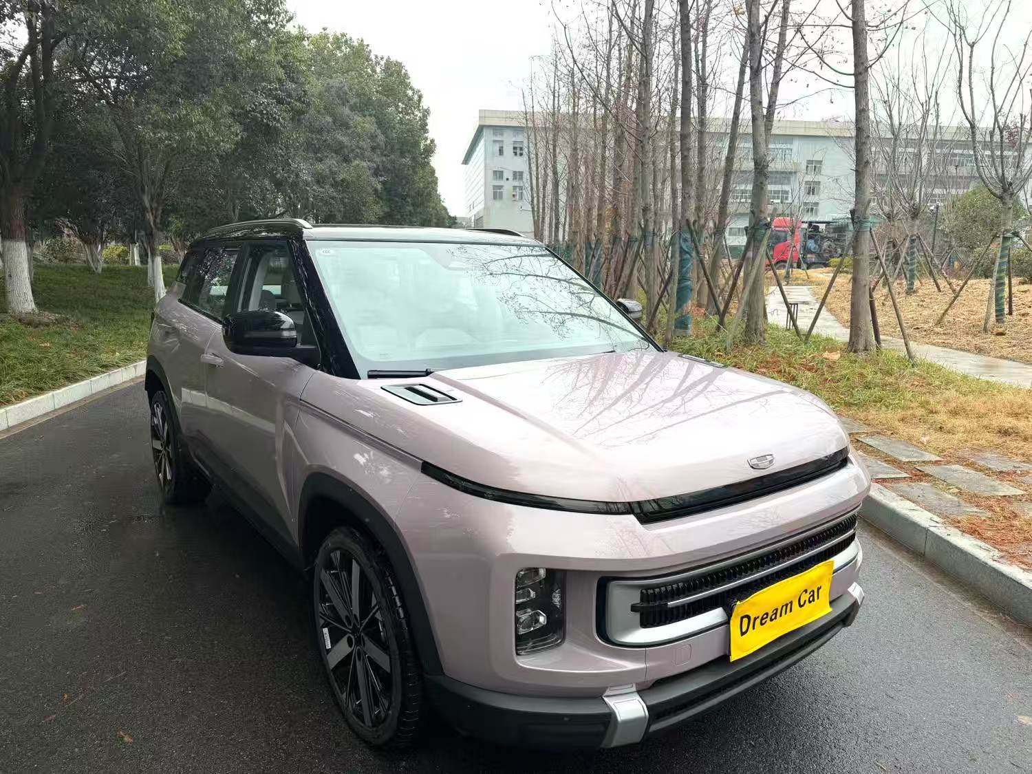 Chengdu Lushengda Automobile Service Co., Ltd.