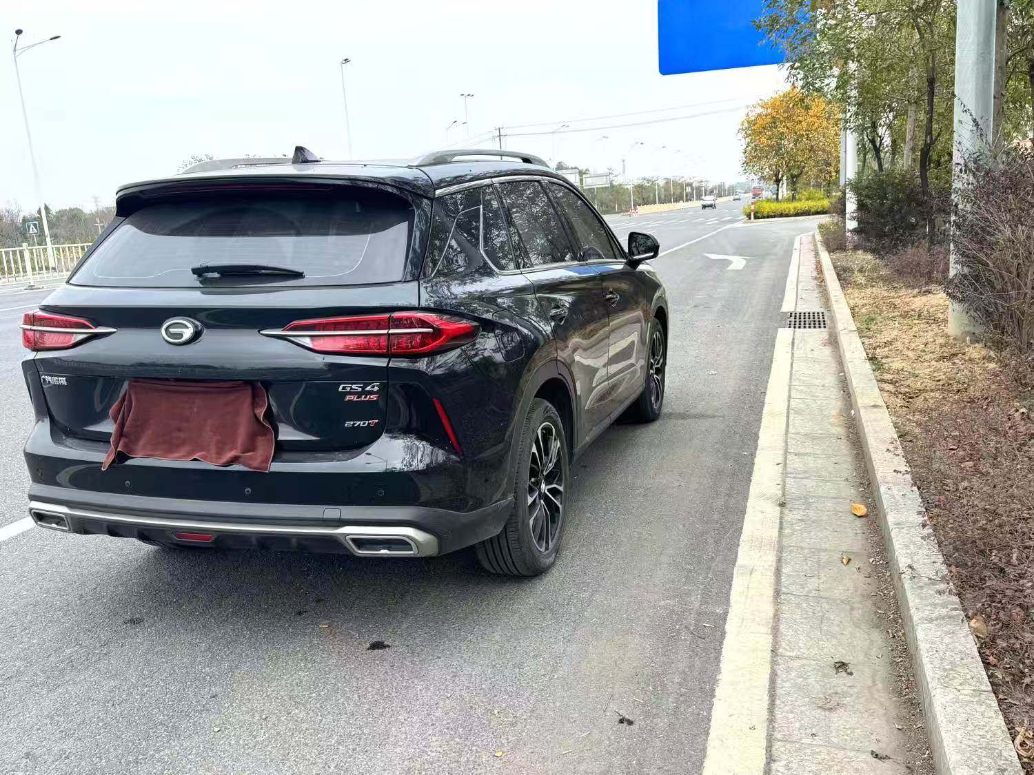 Chengdu Lushengda Automobile Service Co., Ltd.