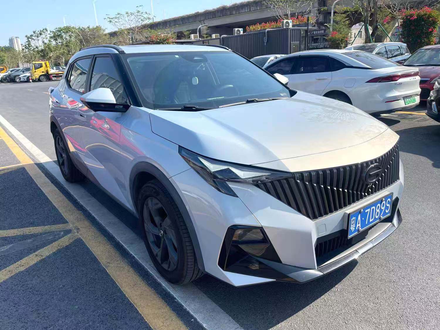 Chengdu Lushengda Automobile Service Co., Ltd.