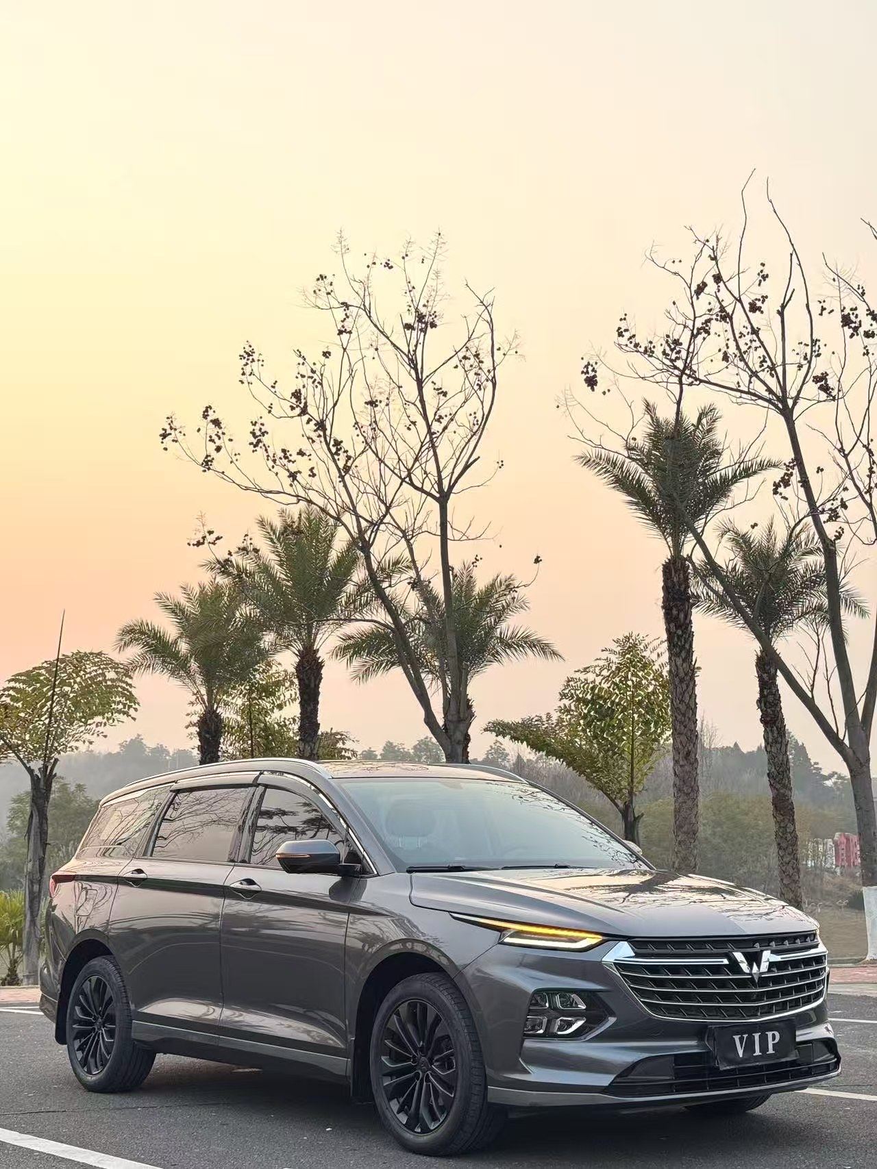 Chengdu Lushengda Automobile Service Co., Ltd.