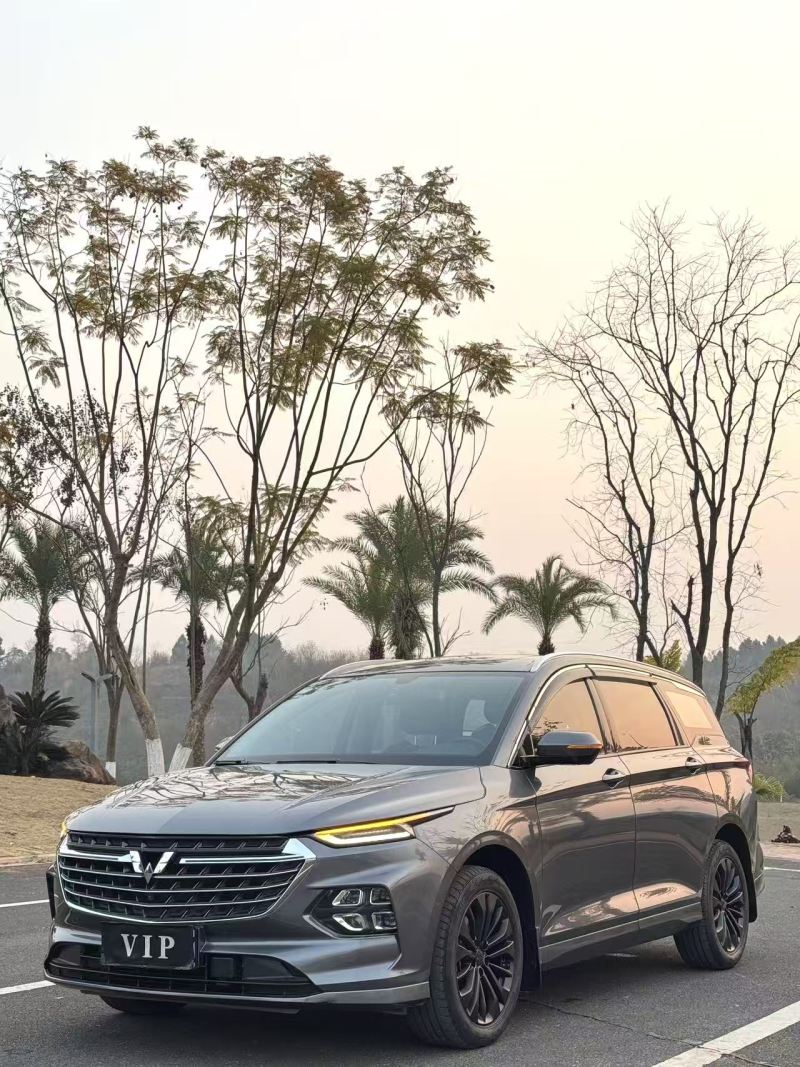 Chengdu Lushengda Automobile Service Co., Ltd.