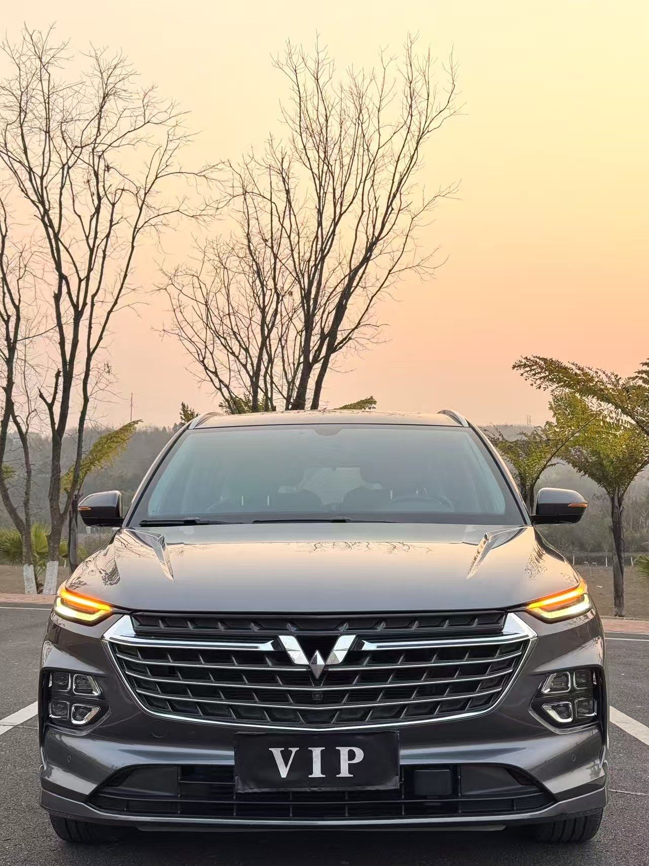 Chengdu Lushengda Automobile Service Co., Ltd.