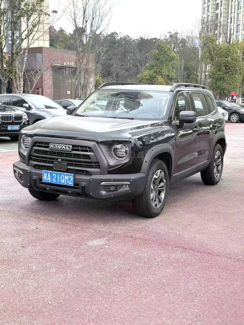 Chengdu Lushengda Automobile Service Co., Ltd.