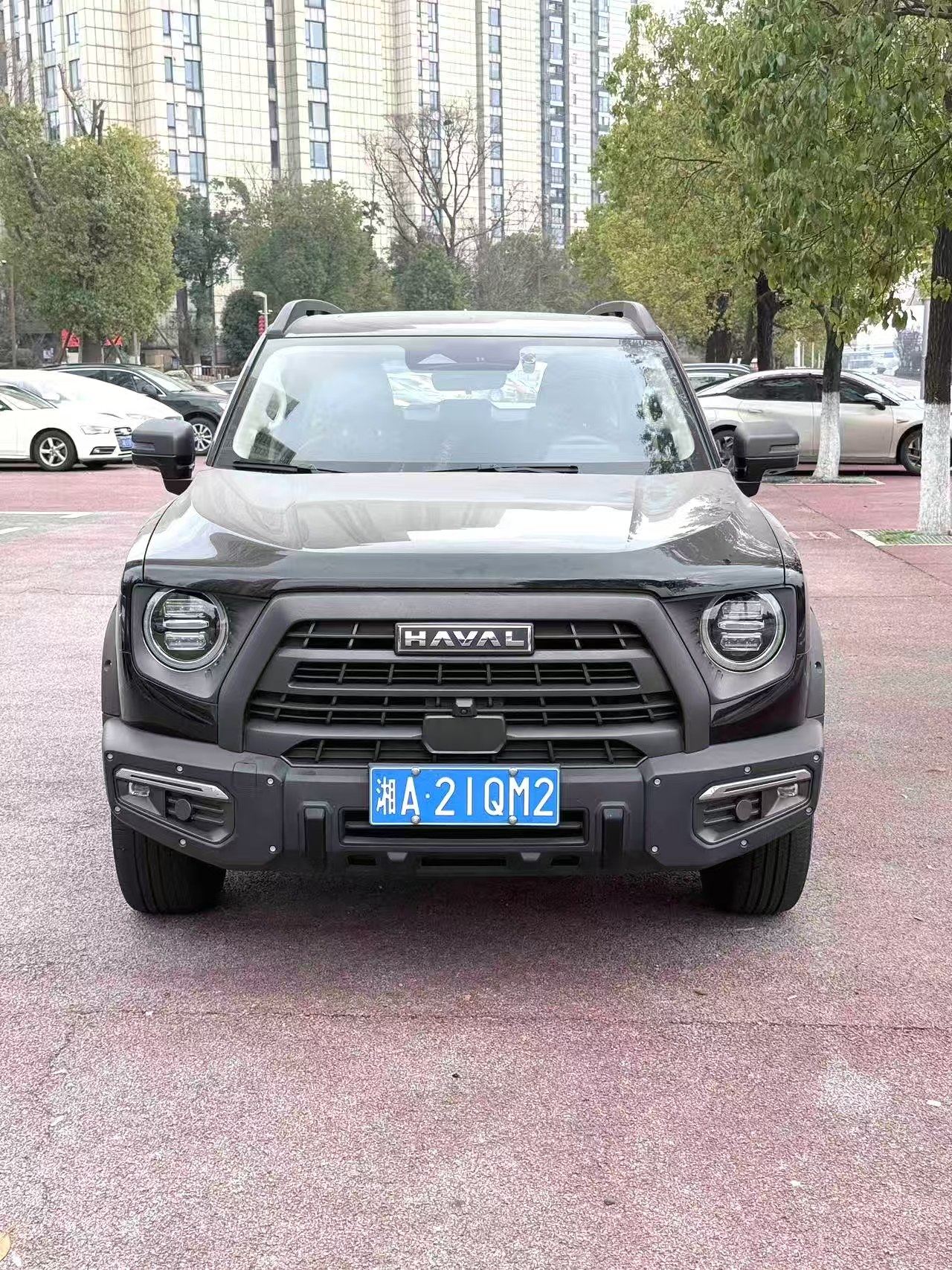 Chengdu Lushengda Automobile Service Co., Ltd.