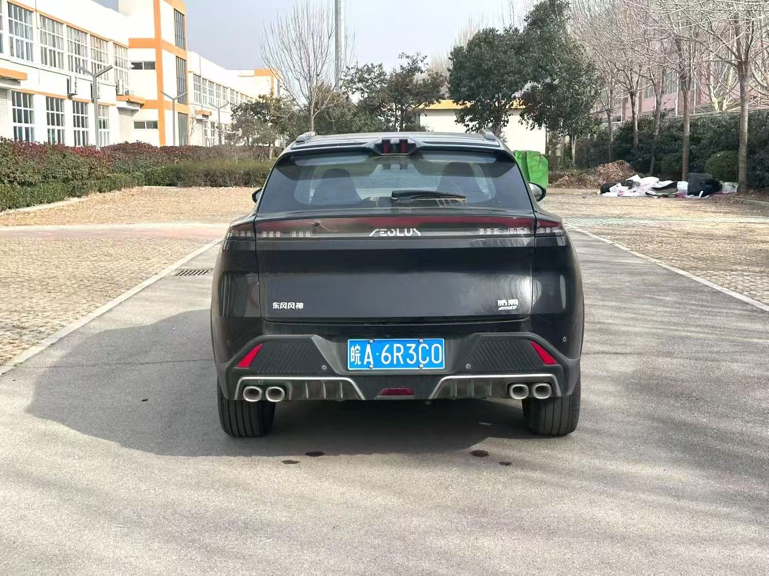 Chengdu Lushengda Automobile Service Co., Ltd.