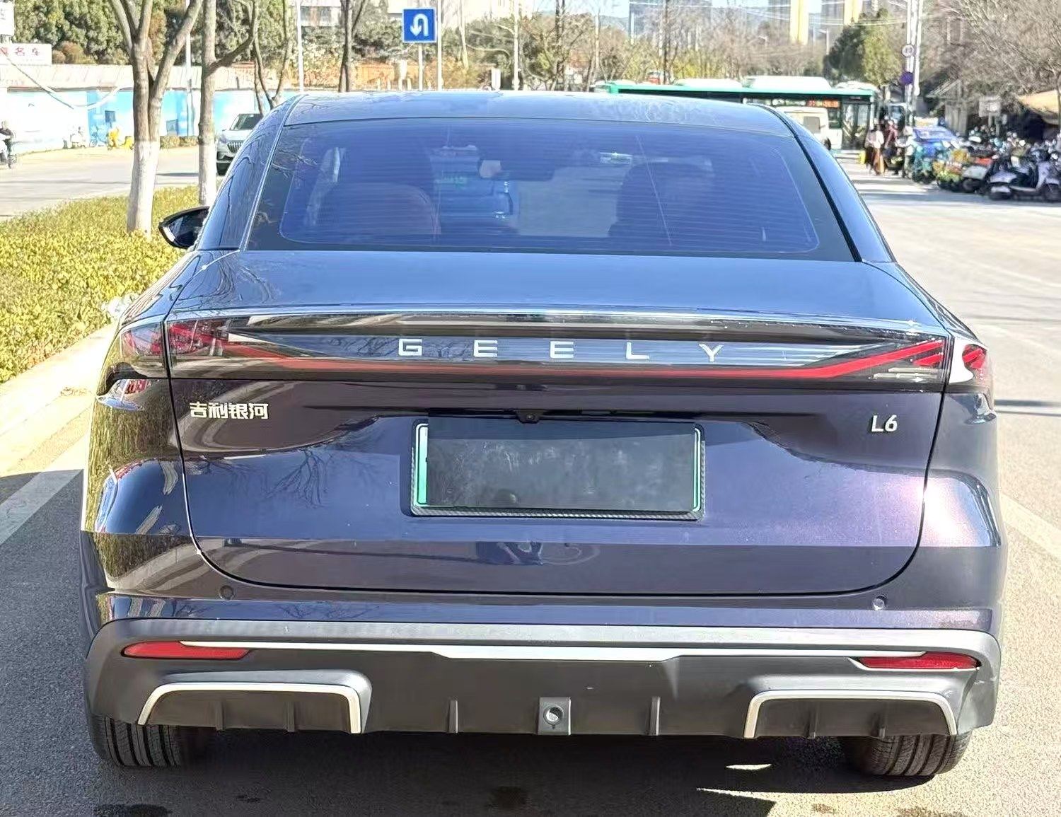 Chengdu Lushengda Automobile Service Co., Ltd.