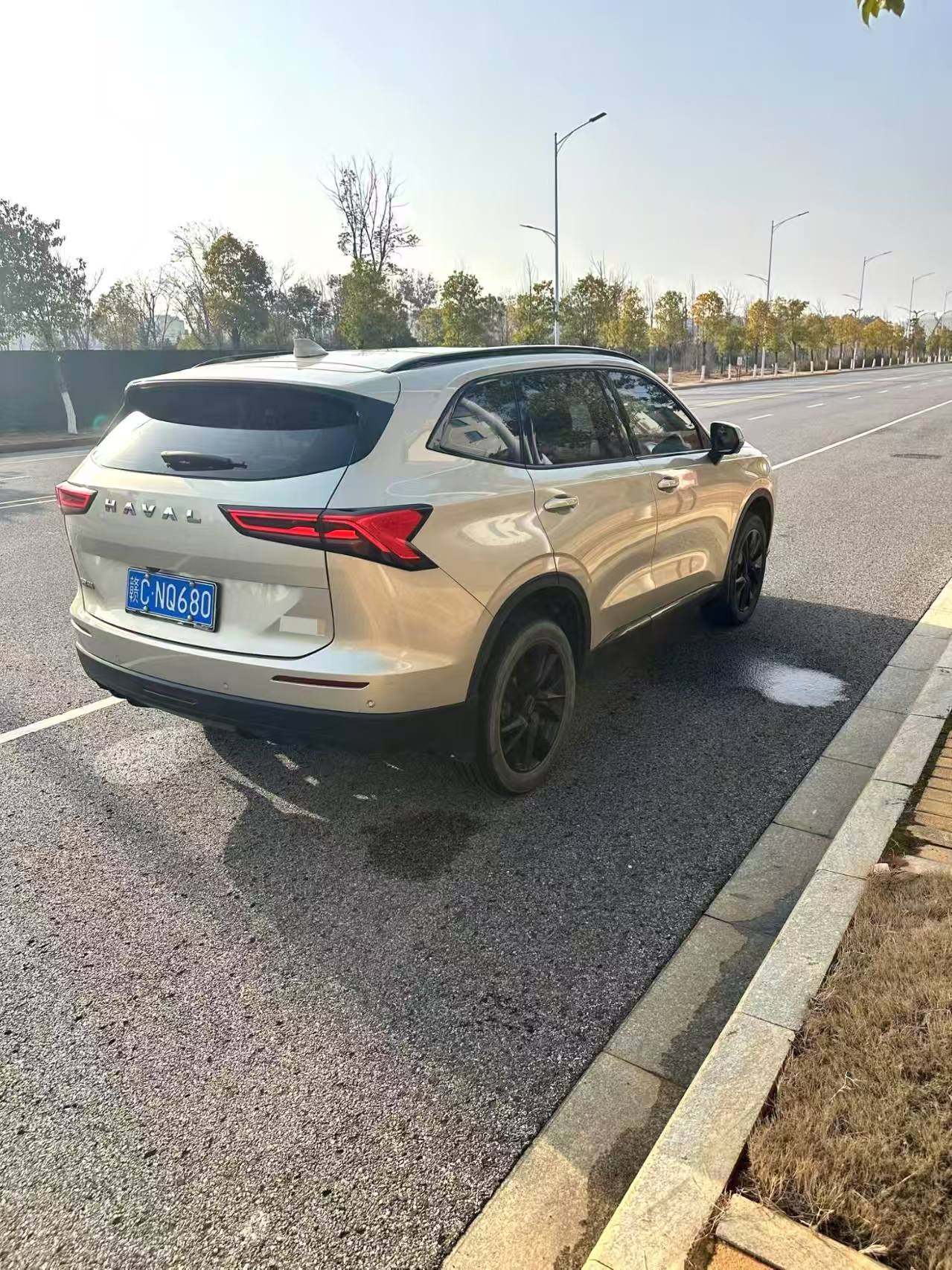 Chengdu Lushengda Automobile Service Co., Ltd.