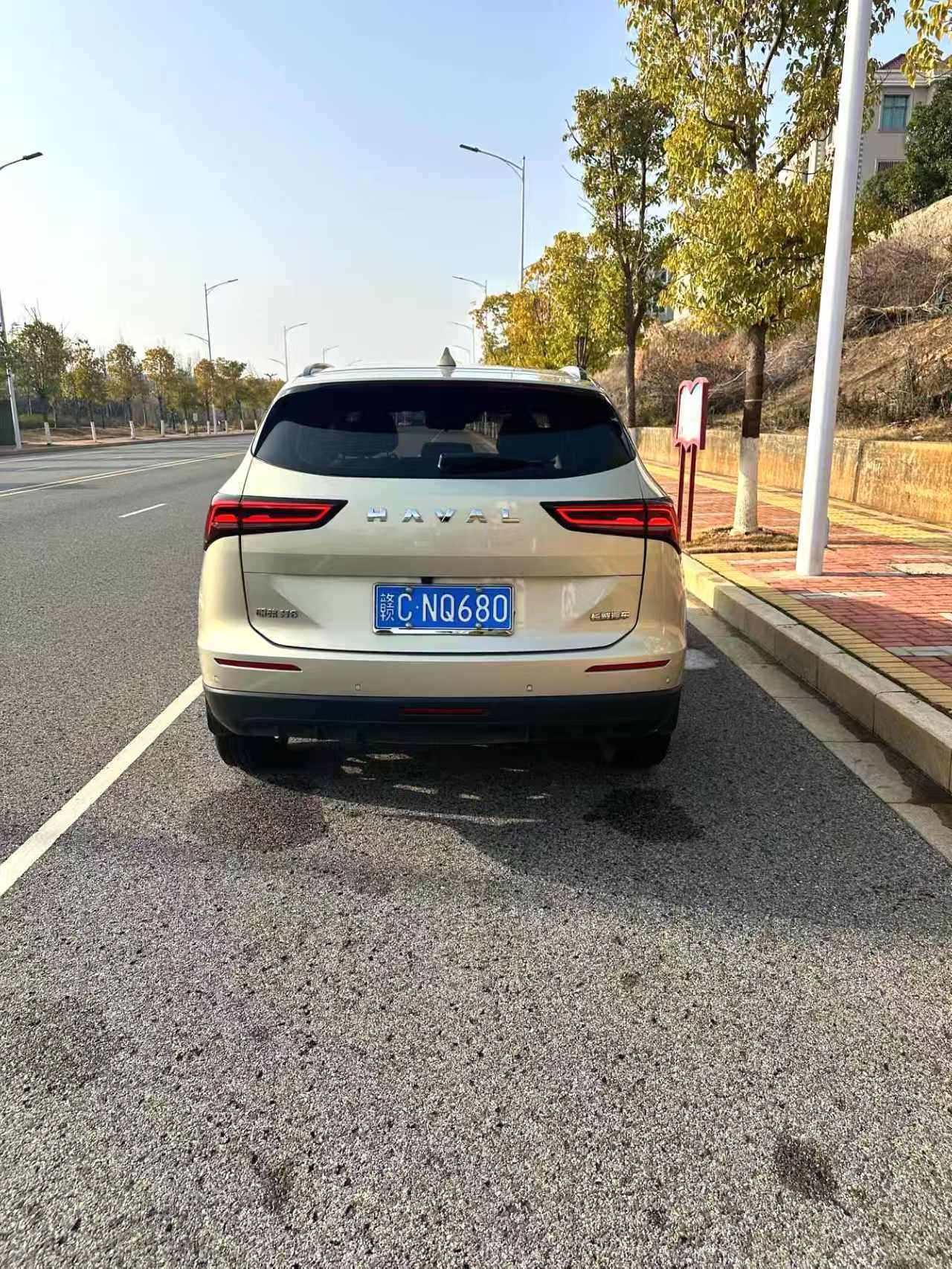 Chengdu Lushengda Automobile Service Co., Ltd.