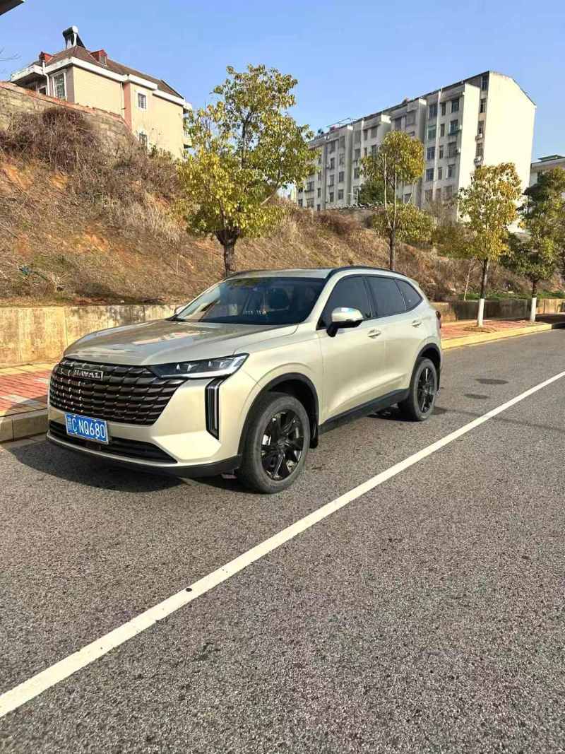 Chengdu Lushengda Automobile Service Co., Ltd.