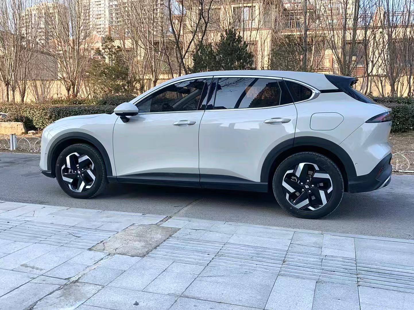 Chengdu Lushengda Automobile Service Co., Ltd.