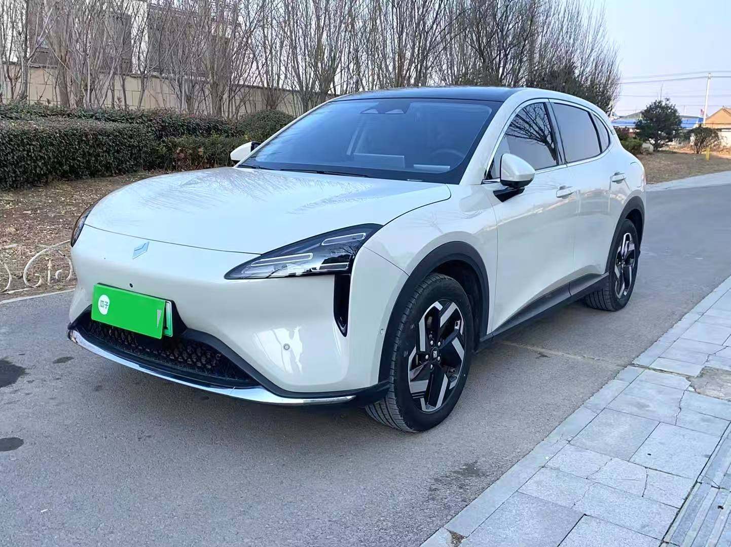 Chengdu Lushengda Automobile Service Co., Ltd.