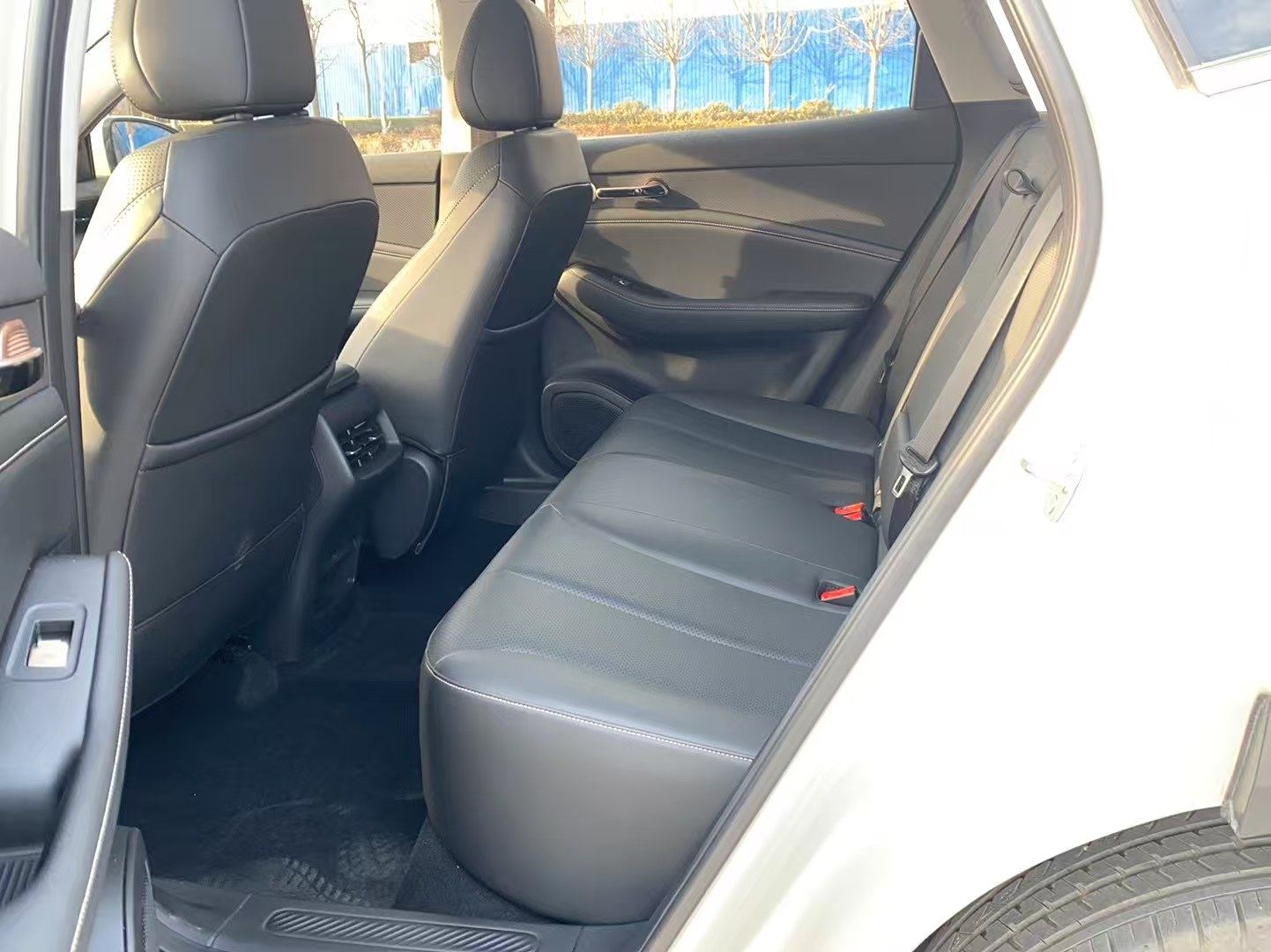 Chengdu Lushengda Automobile Service Co., Ltd.