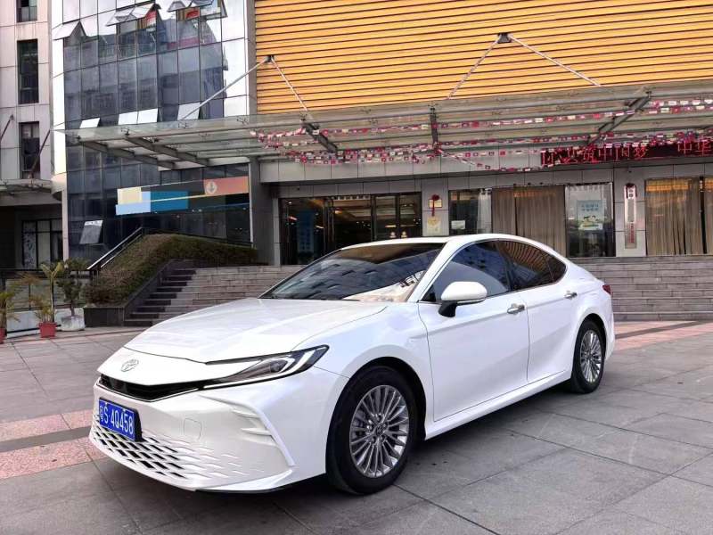 Chengdu Lushengda Automobile Service Co., Ltd.