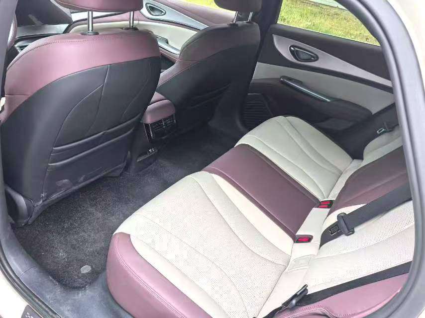 Chengdu Lushengda Automobile Service Co., Ltd.