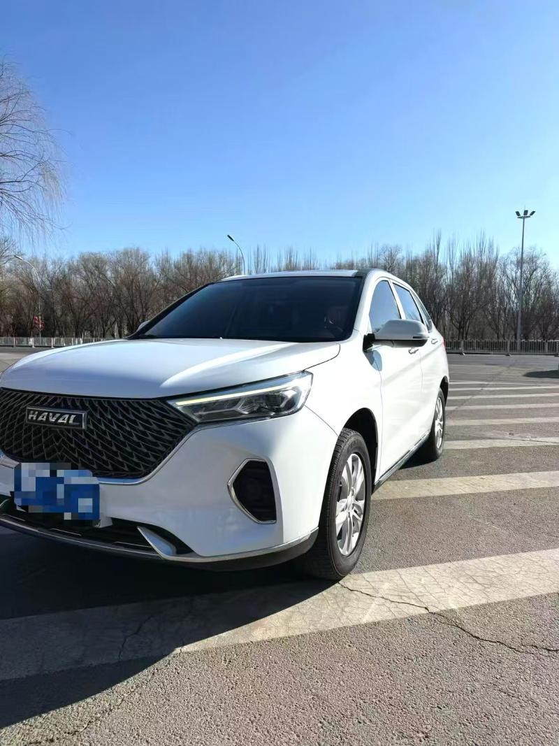 Chengdu Lushengda Automobile Service Co., Ltd.